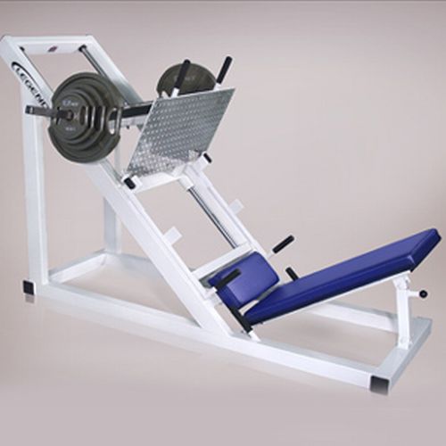 LegPress